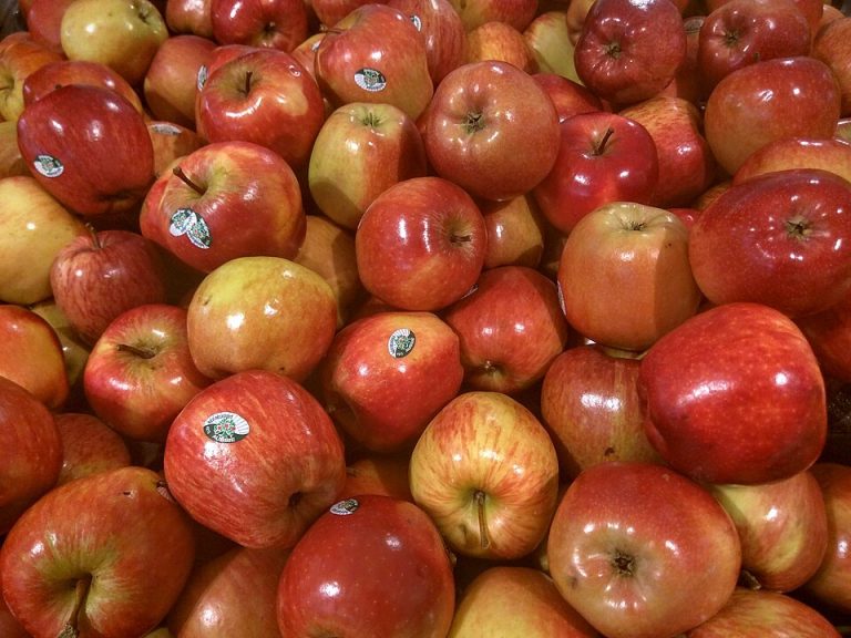 Agroalimentaire