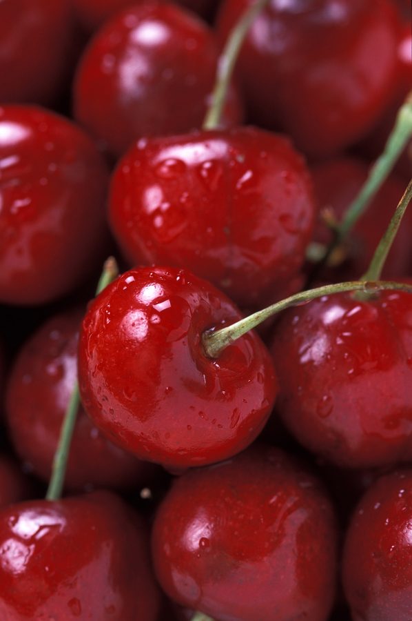 Fresh Bing sweet cherries on the stem